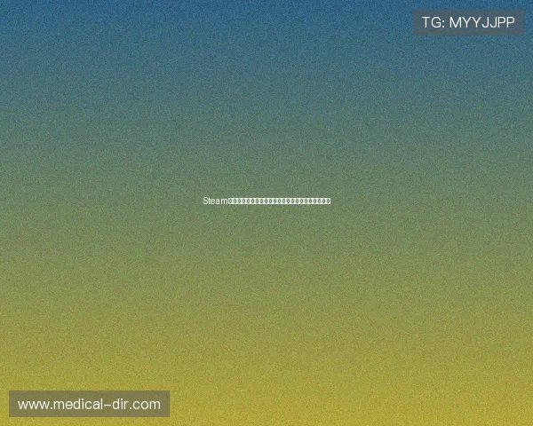 Steam平台上值得一试的老虎机游戏排行榜与玩家评价分析